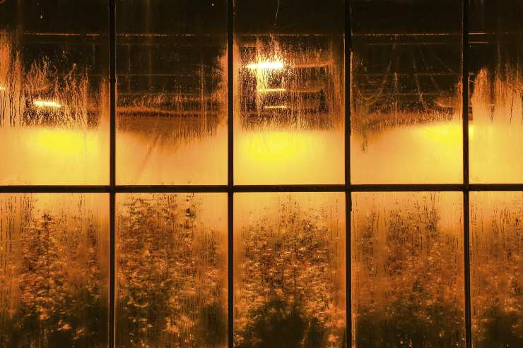 Umidità finestra